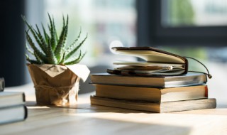 绒的拼音和组词 绒的拼音和组词组