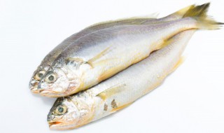 鱼有柴油味怎么回事 为什么有些鱼有柴油味