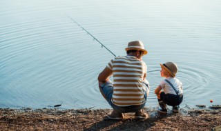 秋季怎么钓鲫鱼 秋季怎样垂钓鲫鱼