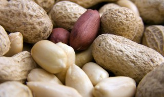 怎么样做多味花生 多味花生的家庭做法窍门窍门