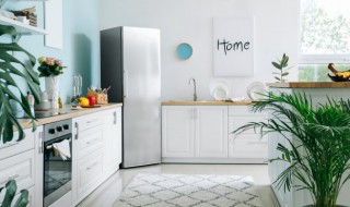 海尔冰箱灯不亮了怎么办 海尔冰箱灯不亮了怎么办按键也没反应