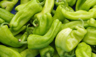 羊肠怎么炒才好吃 羊血肠怎么炒好吃