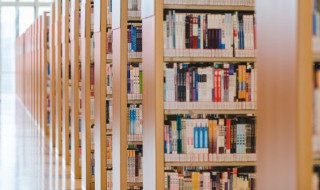 重阳节的格言(关于重阳节的名言和意思)