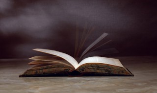 珠组词有哪些（珠组词有哪些小学生）