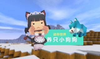 迷你世界狗狗怎么繁殖(新版迷你世界狗怎么繁殖)