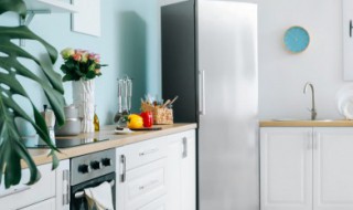 东芝冰箱怎么快速制冰 东芝冰箱快速制冰不制冰了