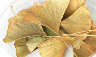 银杏叶怎么泡水 银杏叶怎么泡水喝好