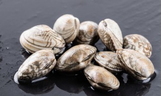 怎么泡花甲（怎么泡花甲吐沙）