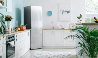 冰箱接水盘怎么拿出来（冰箱接水盘怎么拿出来视频）