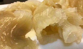 鳘鱼胶怎么泡（鳘鱼胶怎么泡发最好吃）