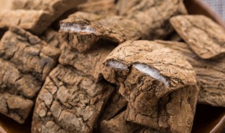 杜仲怎么泡酒（杜仲怎么泡酒治腰疼）