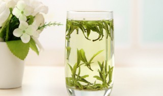 茶该怎么泡 茶该怎么泡?