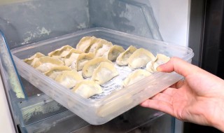 饺子怎么储存冰箱里 包饺子怎么放冰箱保存