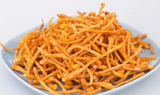 虫草花的储存方法（虫草花要怎么保存）