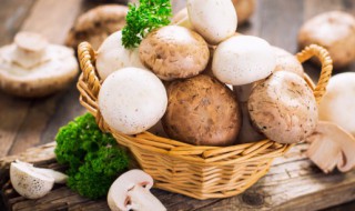 口蘑储存方法 口蘑怎么储存方法