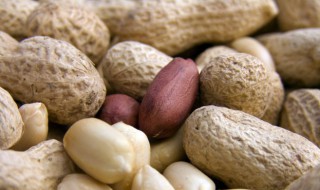 墨兰用花生壳怎么种植（墨兰可以用花生壳养吧）