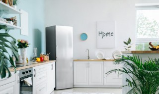 冰箱长虫子怎么处理（冰箱怎么会长虫子）