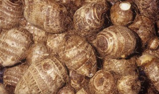 芋头稀饭怎么做好吃 芋头稀饭怎么做好吃电饭煲