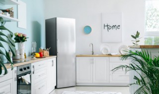 一个人背冰箱怎么捆（一个人背冰箱怎么捆图解）