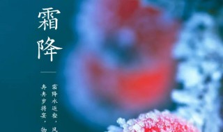 2021霜降是几月几日（2021年霜降是什么日期）