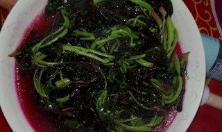 红汗菜怎么炒好吃（红苋菜怎么炒）