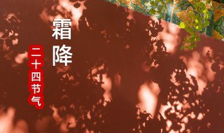 2021年霜降节气如何养生（2021年24节气霜降）