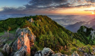 重阳节民间习俗民俗活动（重阳节的民间活动）