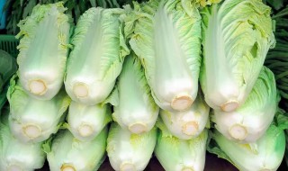大量储存白菜的方法（大批量白菜储存方法）
