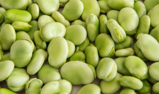 鲜蚕豆的储存方法 蚕豆保鲜及储存方法