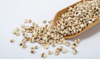 薏米储存方法（薏米如何保存时间长）