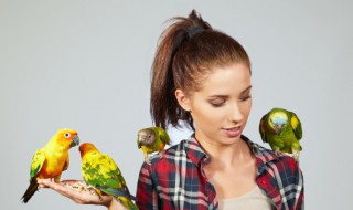 被鸟咬了怎么办（被养的鸟咬了一下怎么办）