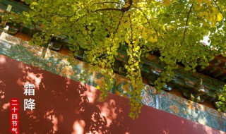 2022年霜降时间几点几分几秒 2022年几月几号是霜降