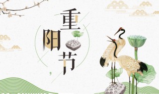 关于重阳节的对联（关于重阳节的对联大全）