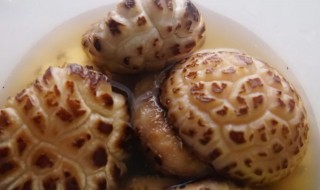 花菇怎么泡发（花菇怎样泡发）