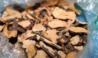 何首乌泡酒怎么泡 何首乌泡酒怎么泡比例