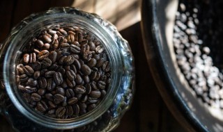 猫屎咖啡怎么泡（猫屎咖啡怎么泡不开）