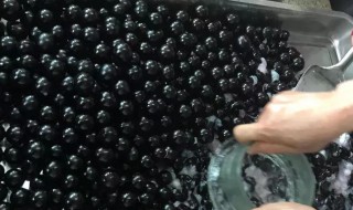 嘉宝果泡酒怎么泡 嘉宝果可以直接泡酒吗