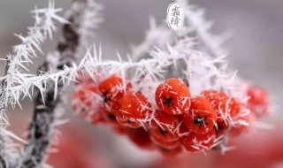 霜降的传说 霜降的传说故事