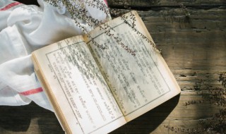 重阳节被称为什么节（重阳节又被称为什么节）