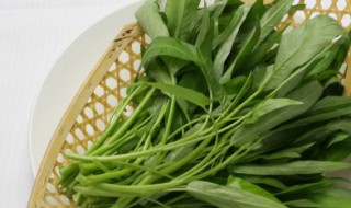 红菜苔可以做汤吗 菜苔能做汤吗