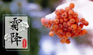 2021年霜降时间几点几分几秒 2021年霜降是几月几号几点几分