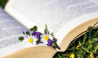 立冬节气唯美短句2021最新（2021立秋的句子短句唯美）