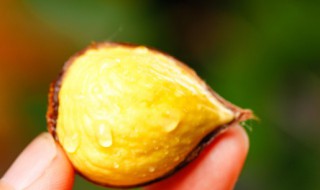 炒栗子的方法（炒栗子的步骤）