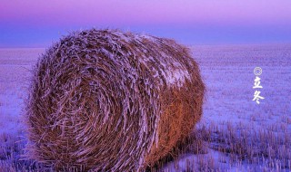 描写立冬的唯美句子2021（描写立冬的唯美句子立冬早上好图片）