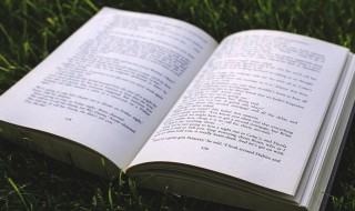 二年级描写春天的句子大全 二年级 描写春天的句子