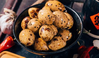 鹌鹑蛋储存方法 鹌鹑蛋的储存