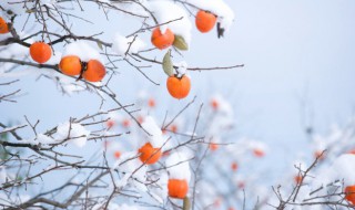 2021立冬是农历几月几日 2021年的立冬是农历的哪一天几点几分