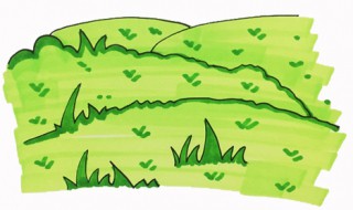 草怎么画 草怎么画好看而又简单图片