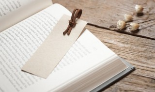 熬夜必看小说言情 熬夜必看小说言情现言