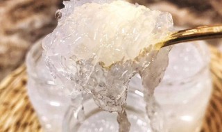鲜炖燕窝何时吃最好 鲜炖燕窝什么时候吃最好